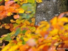 Palette de couleurs