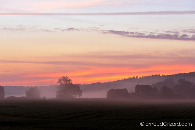 tous-les-matins-du-monde