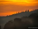 Matin campagnard