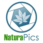 logo naturapics 150 high